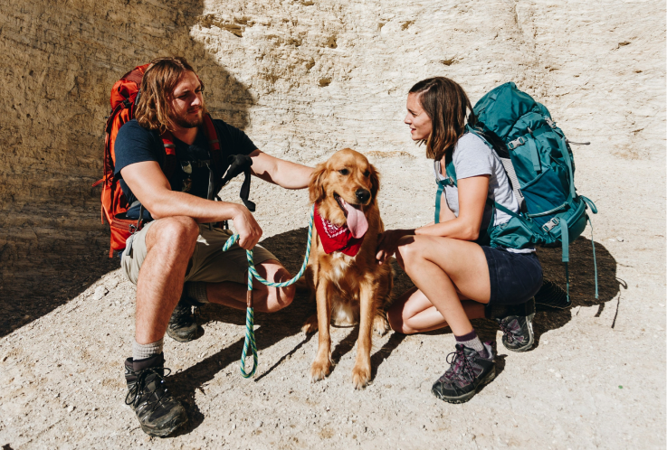 Hikers with their dog on a trail