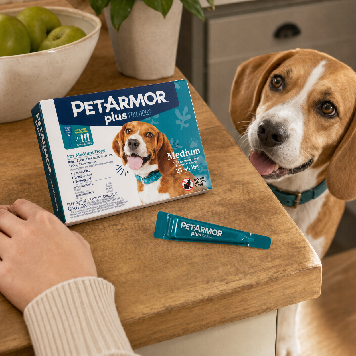 A dog peeks over a wooden counter beside a hand resting near a PetArmor Plus carton and single applicator tube.