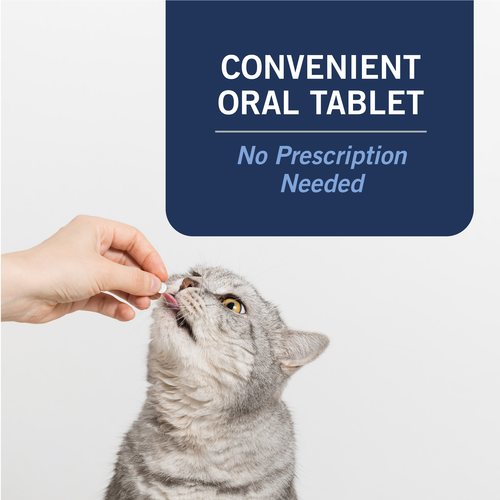PetArmor® CAPACTION® (nitenpyram) Oral Flea Treatment for Cats - 6 / 2-25lbs