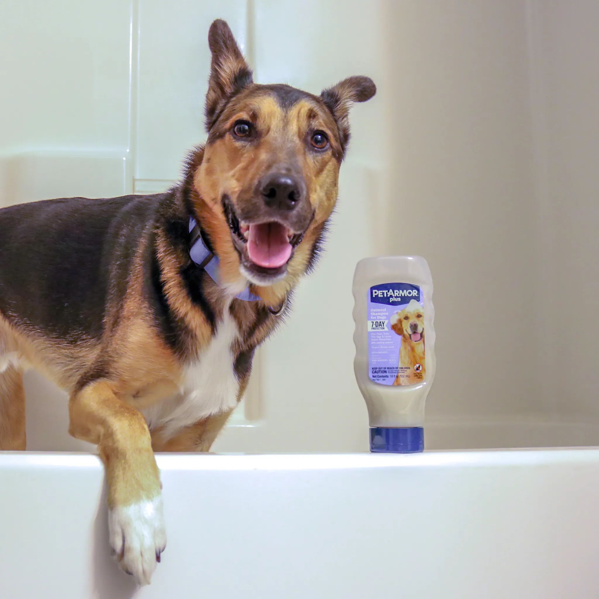 PetArmor® Plus Flea & Tick Shampoo with Oatmeal for Dogs