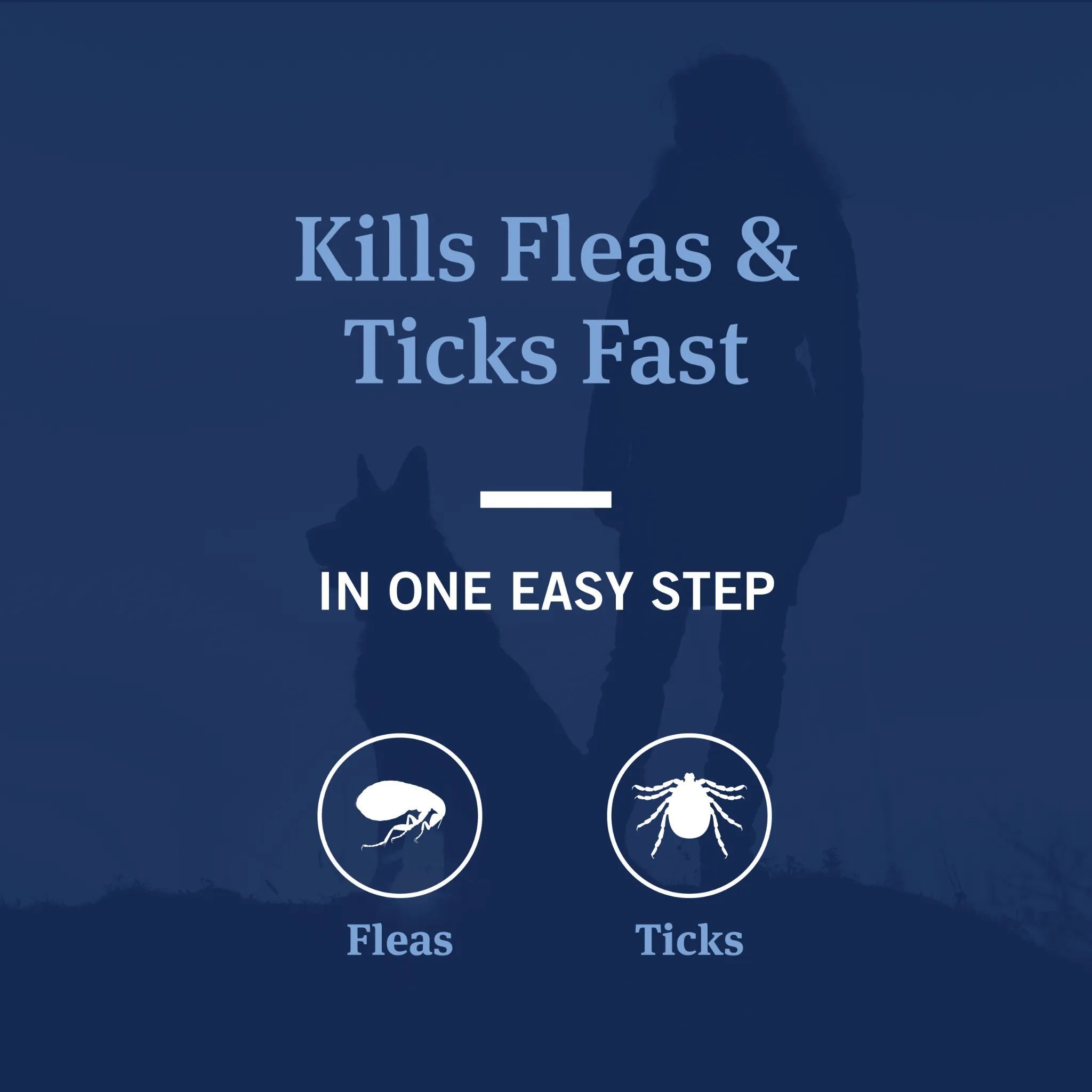 PetArmor® Plus Flea & Tick Shampoo with Oatmeal for Dogs