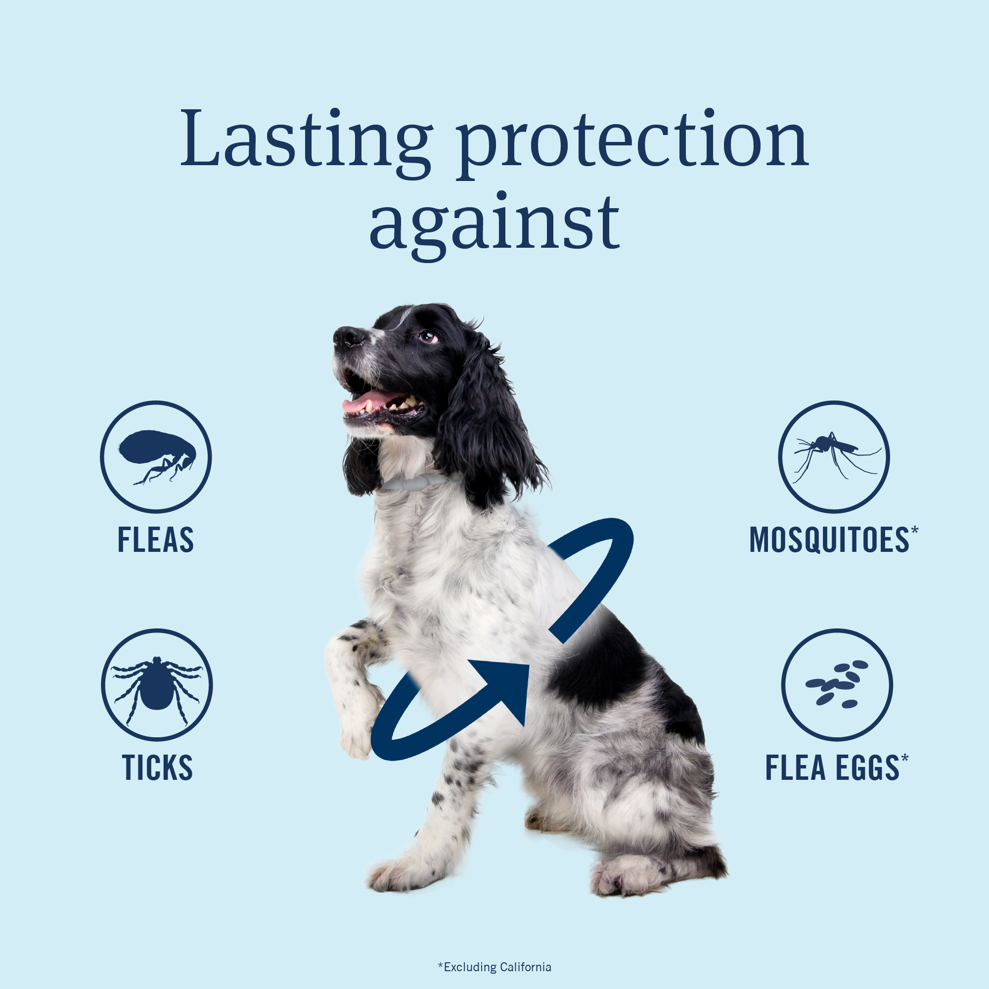PetArmor® Plus Flea & Tick Collar for Dogs - 1