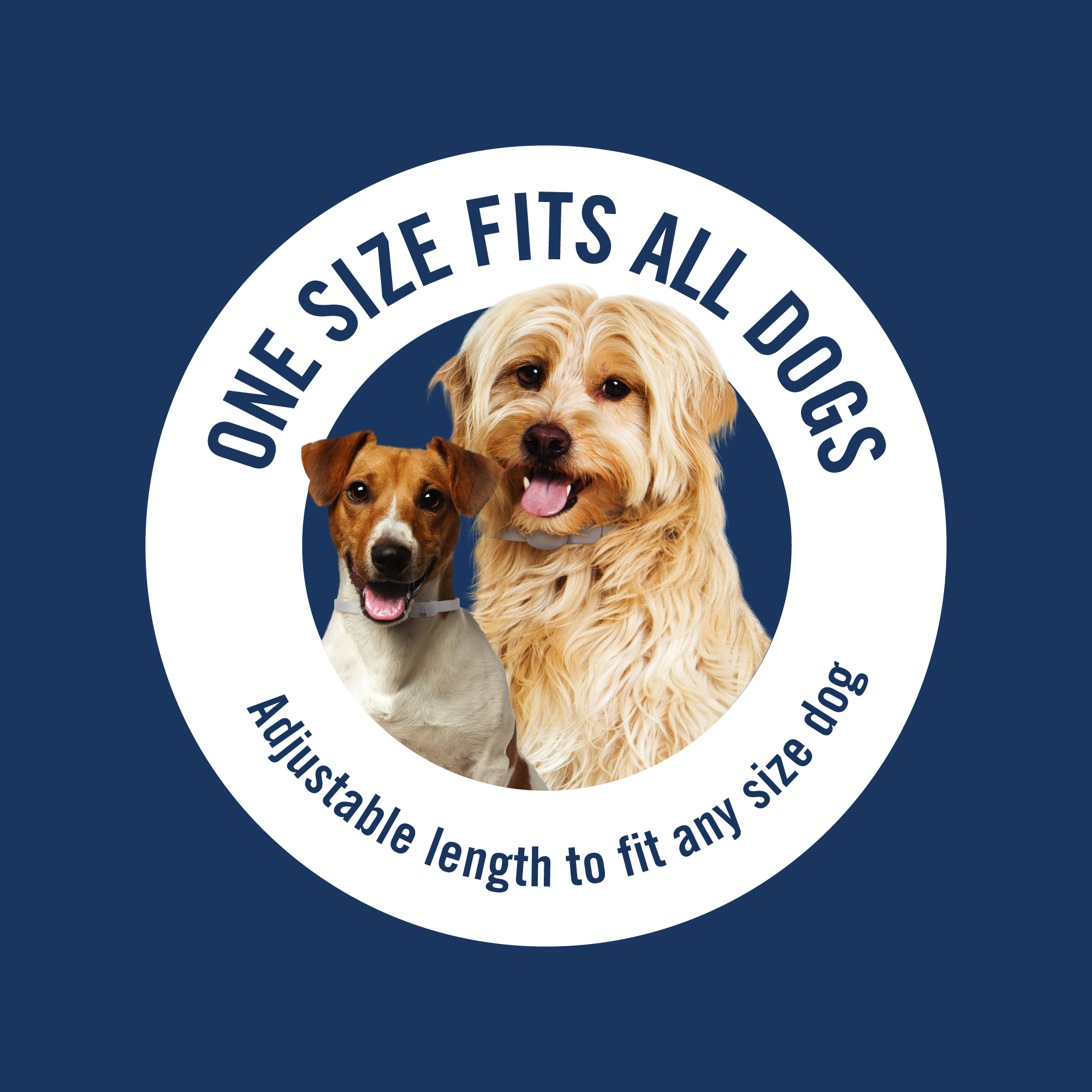 PetArmor® Plus Flea & Tick Collar for Dogs - 1