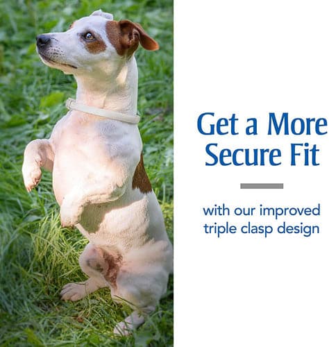 PetArmor® Plus Flea & Tick Collar for Dogs - 1