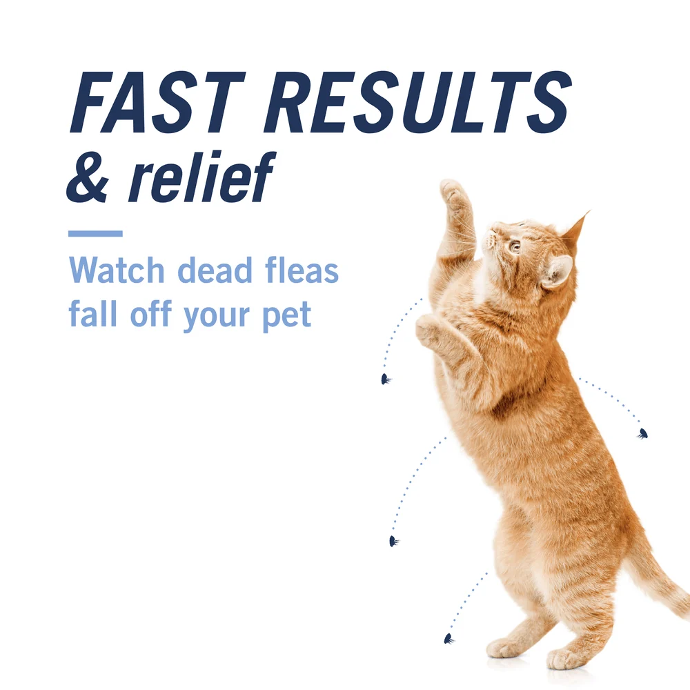 PetArmor® CAPACTION® (nitenpyram) Oral Flea Treatment for Cats - 6 / 2-25lbs