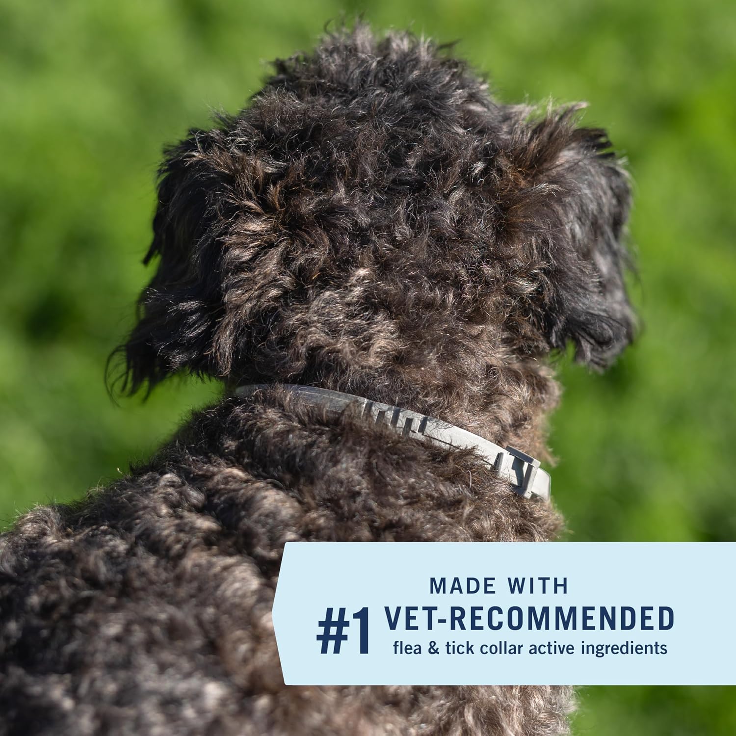 PetArmor® Extend™ Flea & Tick Collar - Up to 18 lbs / 1
